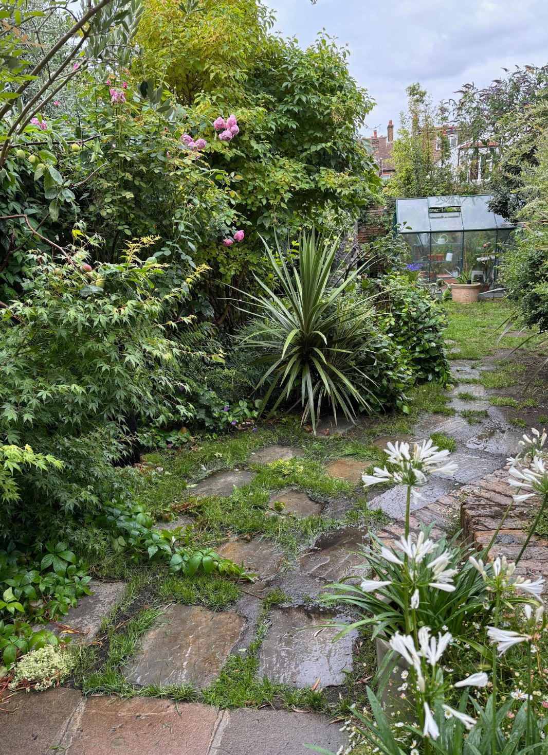 B's kitchen garden apple chutney (sweet & spicy)