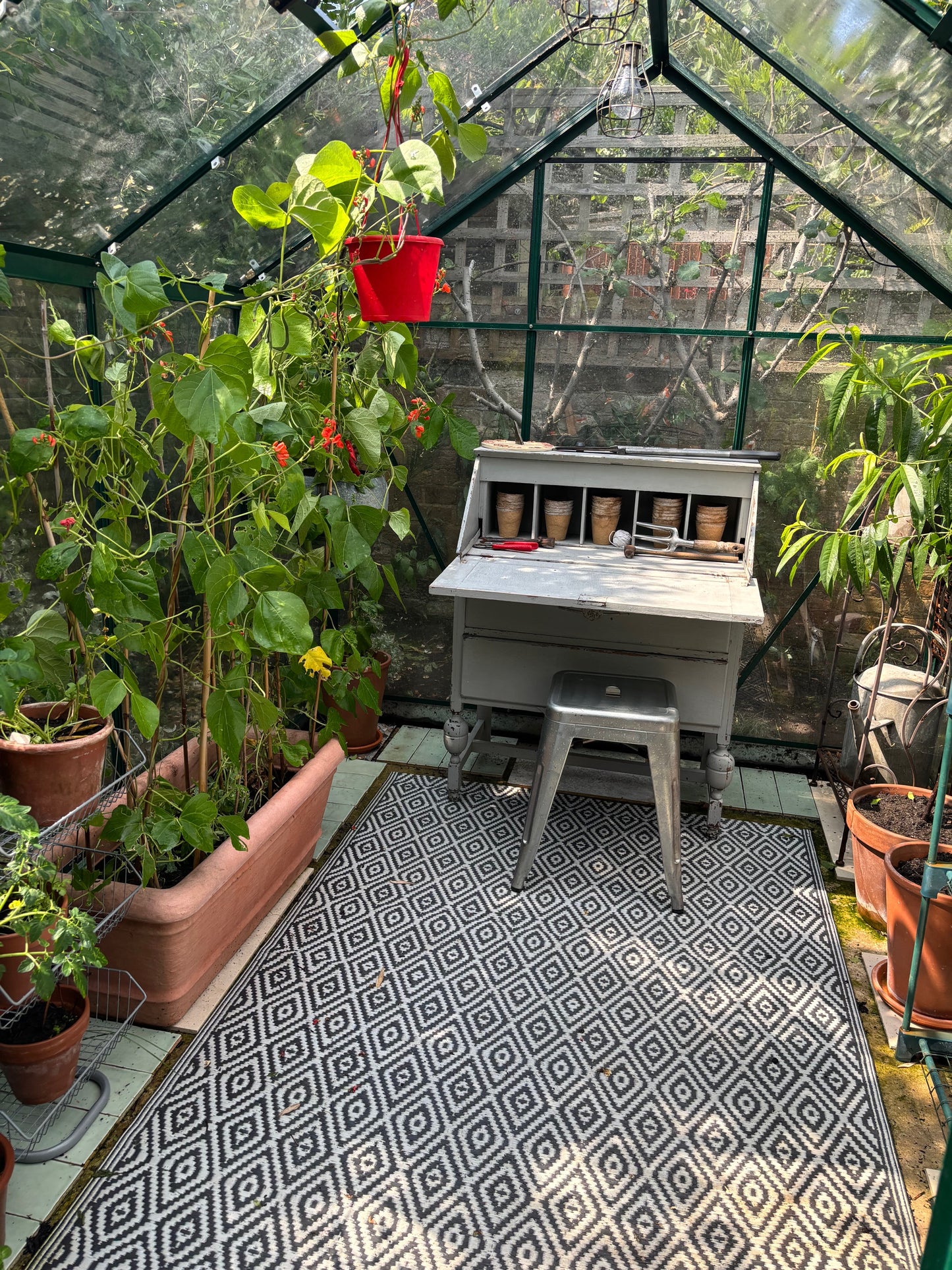 B's kitchen garden tomato & chilli chutney