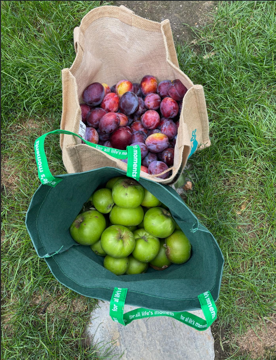 B'kitchen garden chutney (apple)