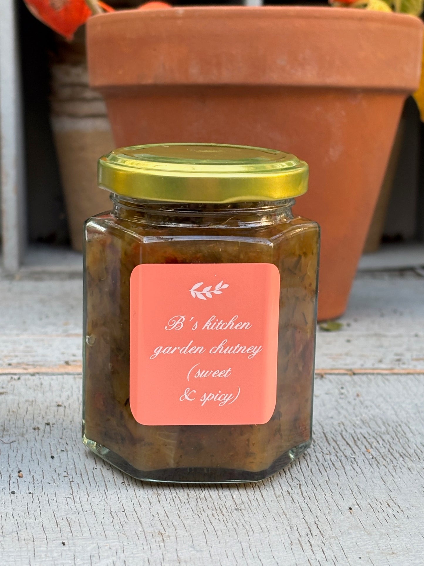 B's kitchen garden apple chutney (sweet & spicy)